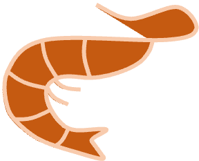 ShrimpScheme